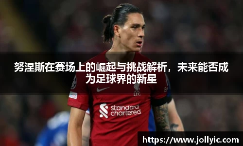 努涅斯在赛场上的崛起与挑战解析，未来能否成为足球界的新星